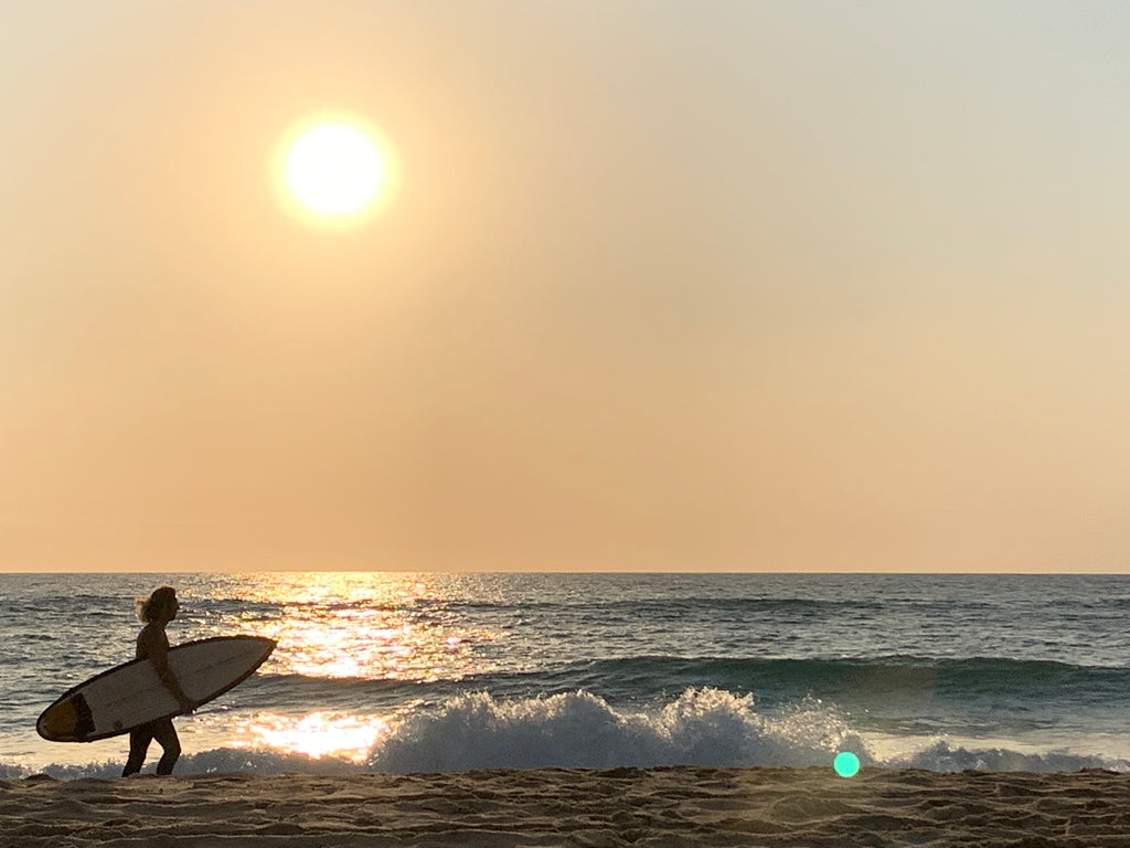Les origines du Surf